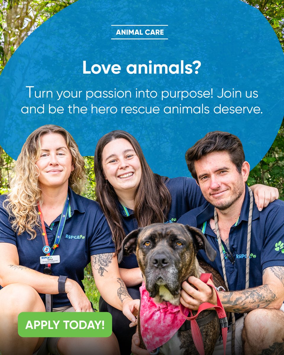 RSPCAQld's tweet photo. 🙋‍♀️ We're Hiring 🐶🐱
Have a certain set of skills and a passion for changing lives? Join the team 👉 https://t.co/jL3VsEx4g4

Current positions👇 
🎉 National Lottery Operations Coordinator
🧑‍🤝‍🧑 Youth Early Intervention Program Officer
🐾 Animal Care Manager
🏥 Practice Manager https://t.co/cxbVt0rWnL
