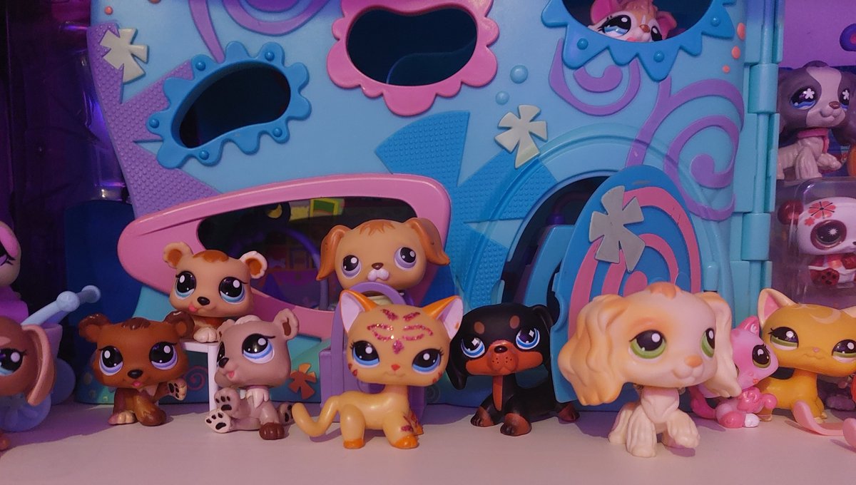 nim 𔒌 tweet media