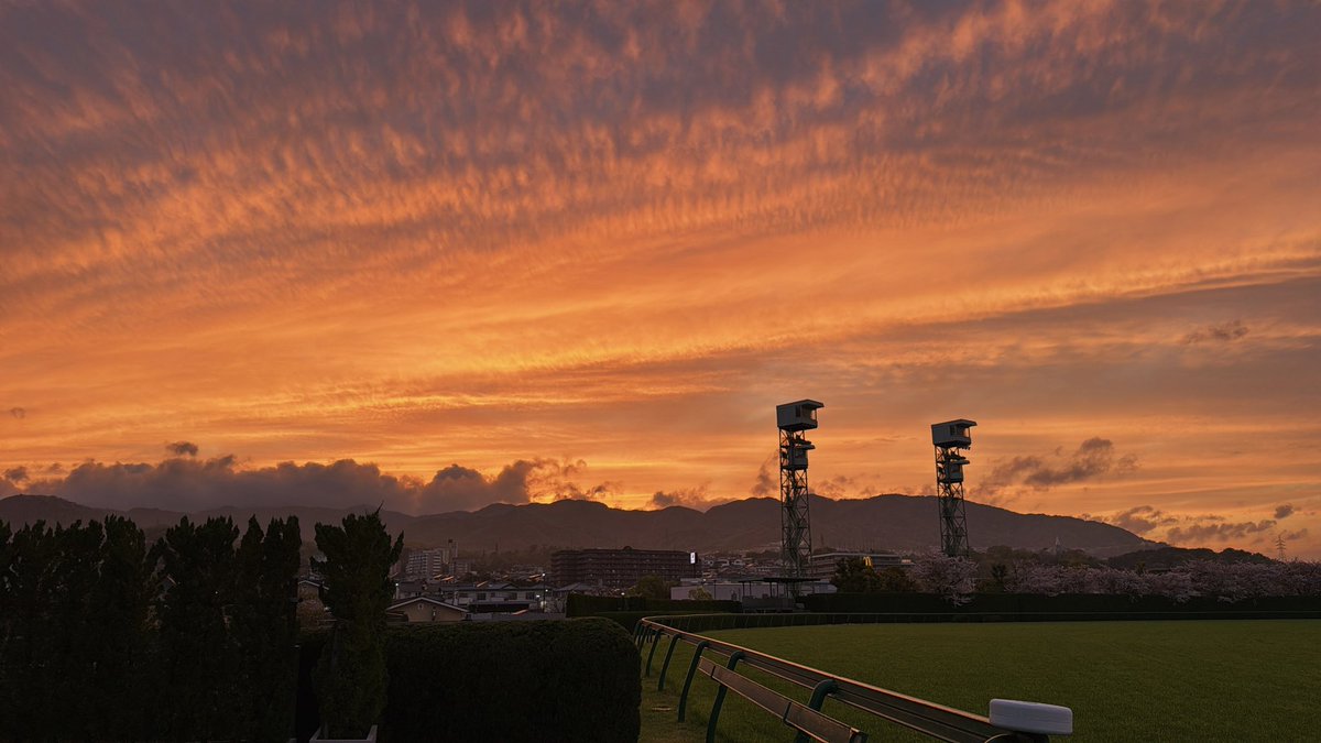 阪神競馬場【公式】 tweet media