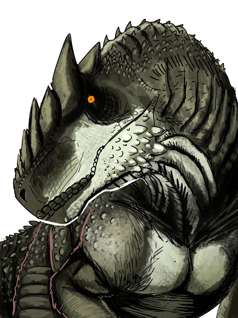 ディゼッタ tweet media