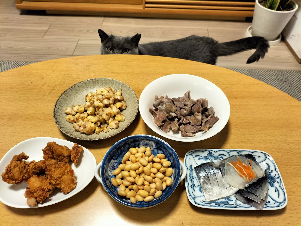 ガラハウ☆(mitomon) tweet media