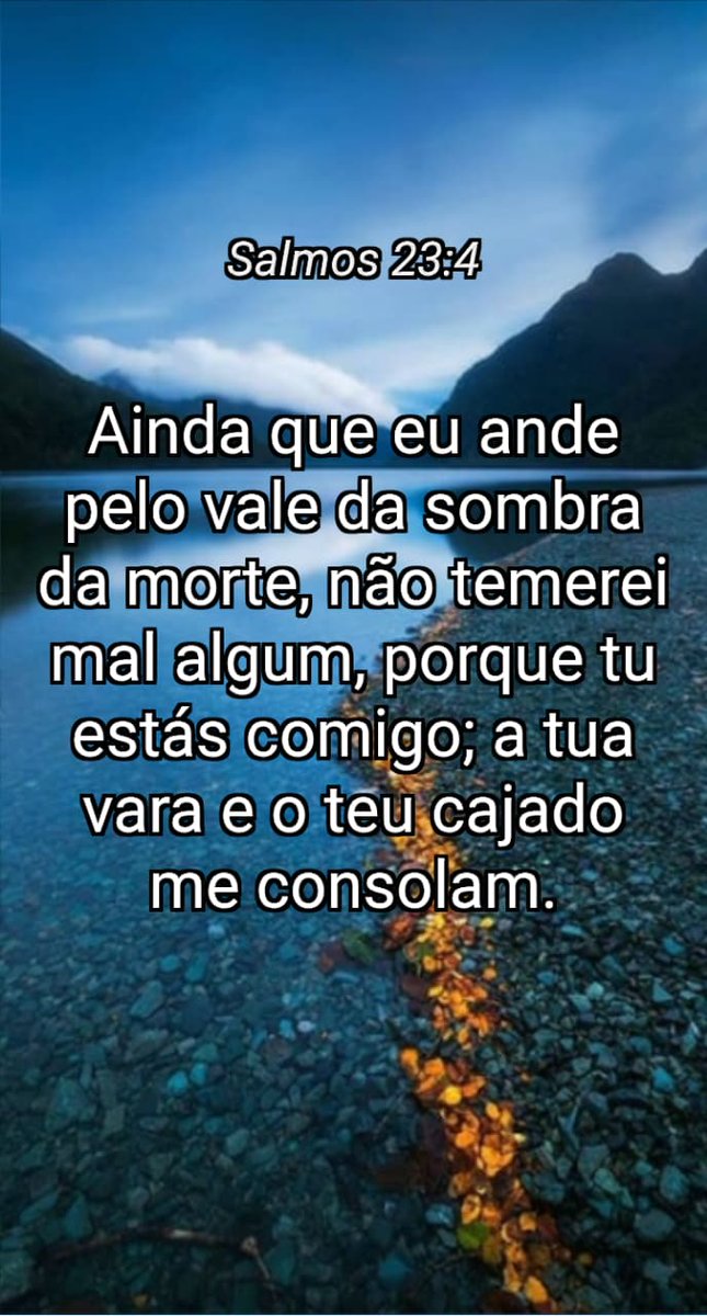 FelipeSilva2307's tweet photo. https://t.co/iPYXAMTnL5