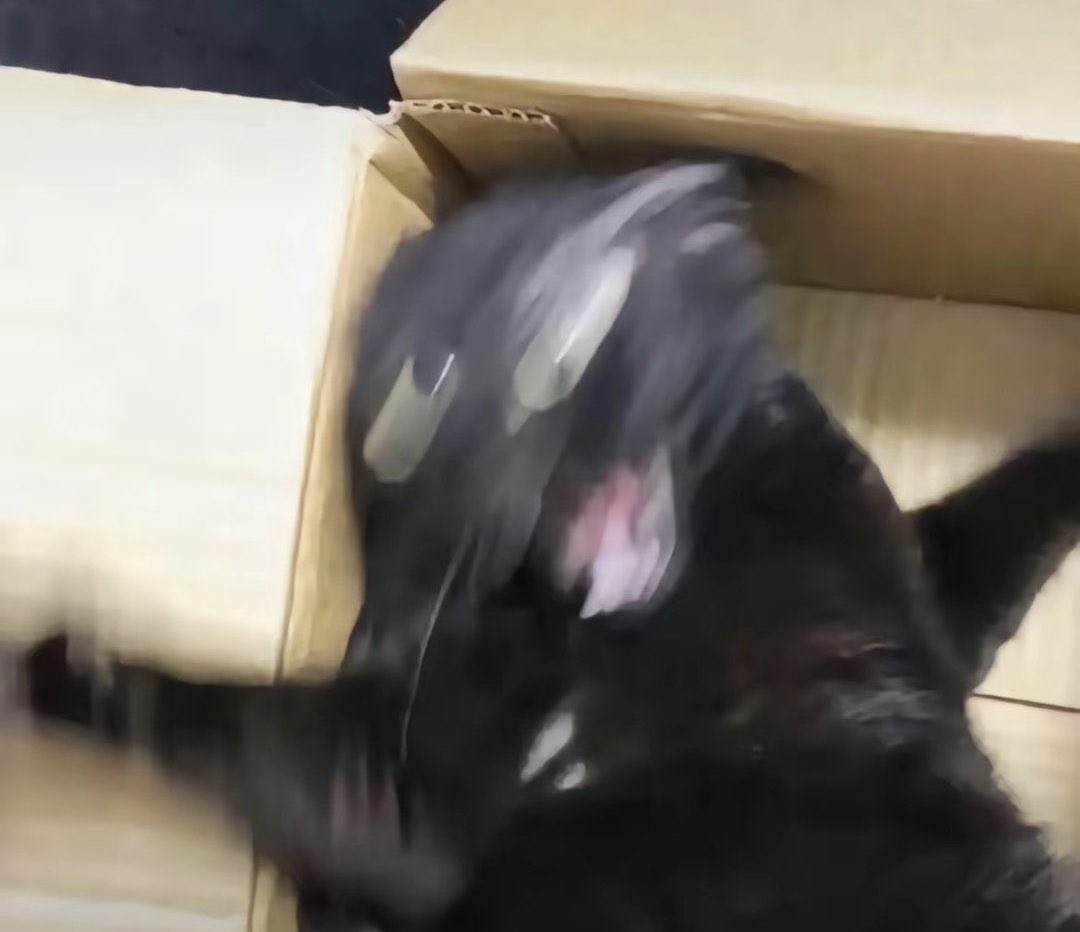 うににー tweet media