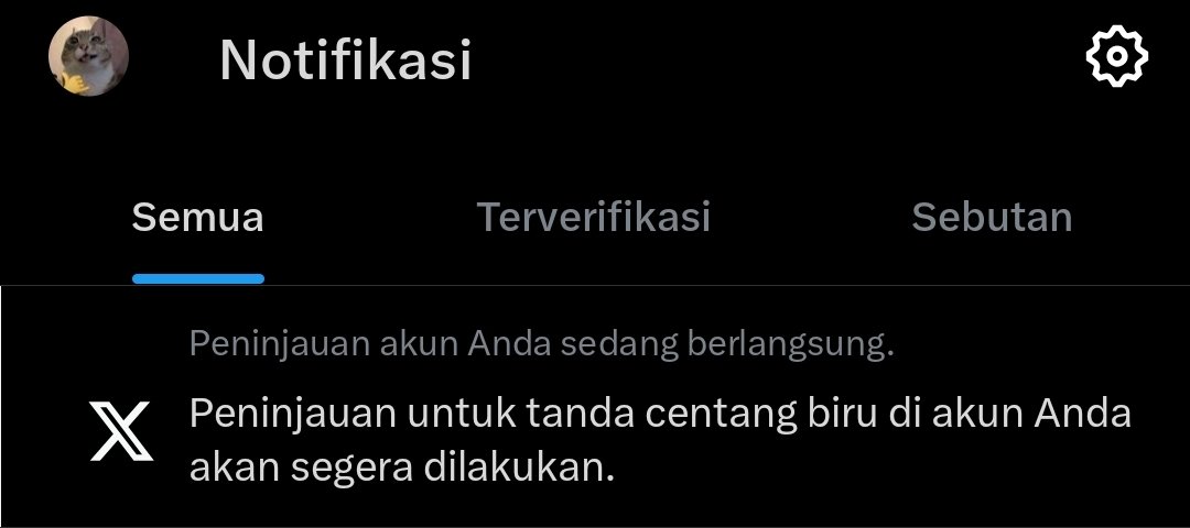 Catitude tweet media