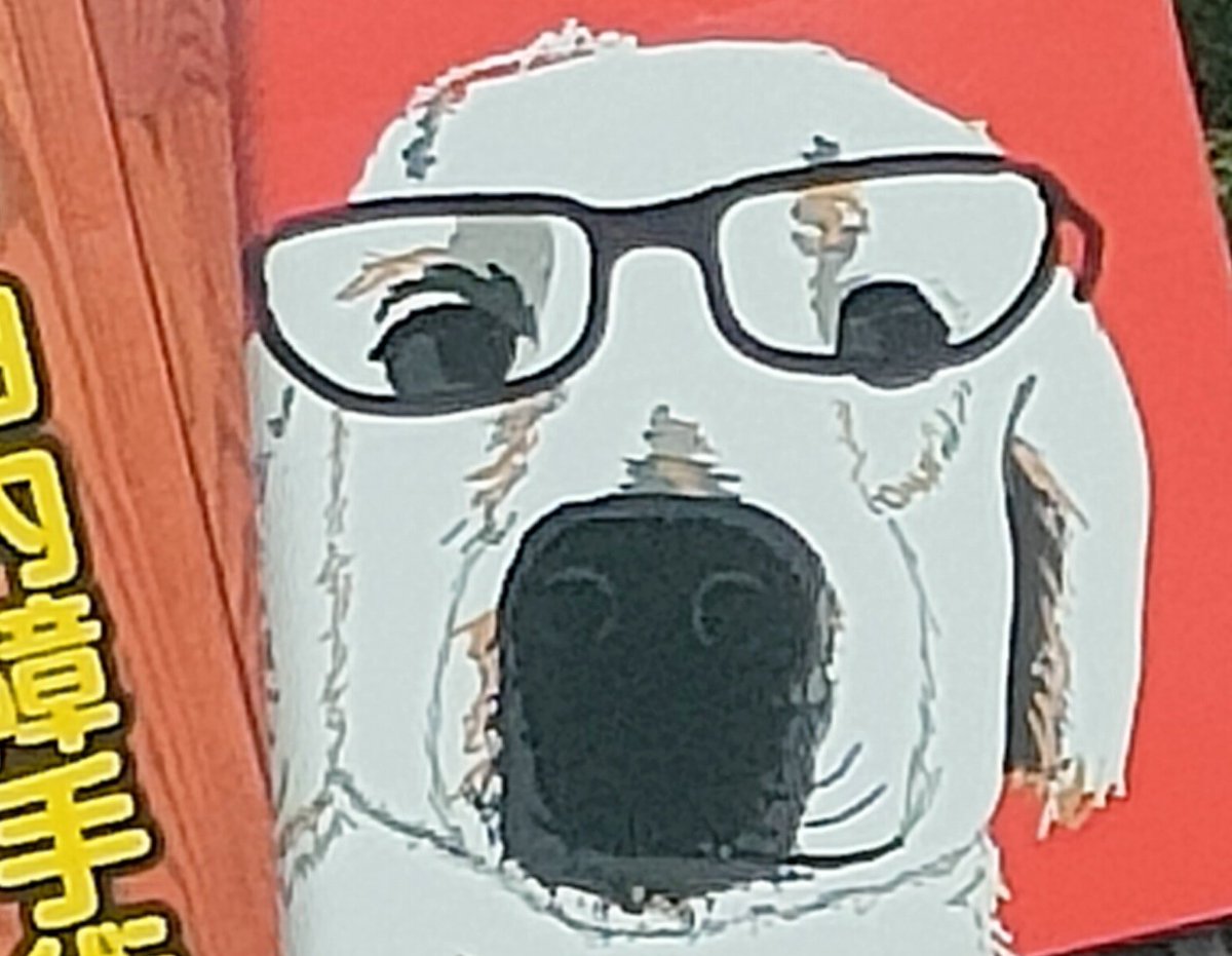 ふたみ tweet media