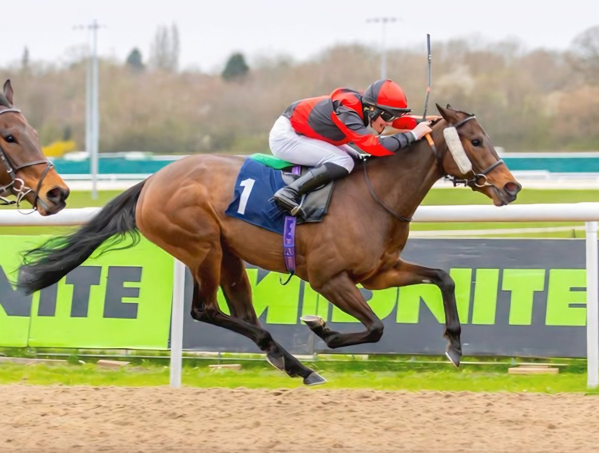 Derbyshire Racing tweet media