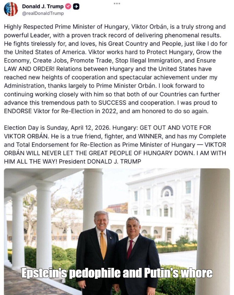 Зарян tweet media