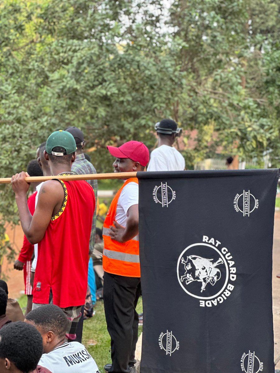 Mitchell Hall tweet media