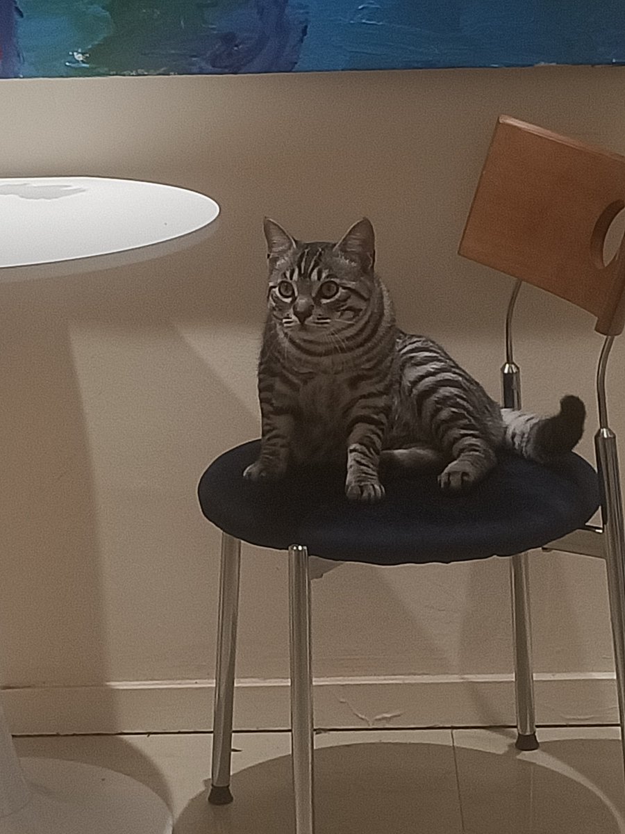 Archimedesspx tweet media