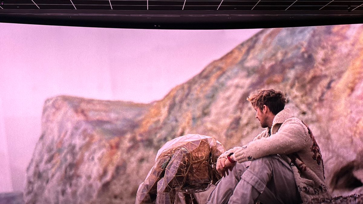 chicken biryani tweet media