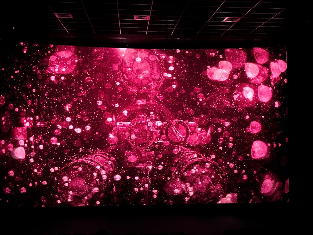 chicken biryani tweet media