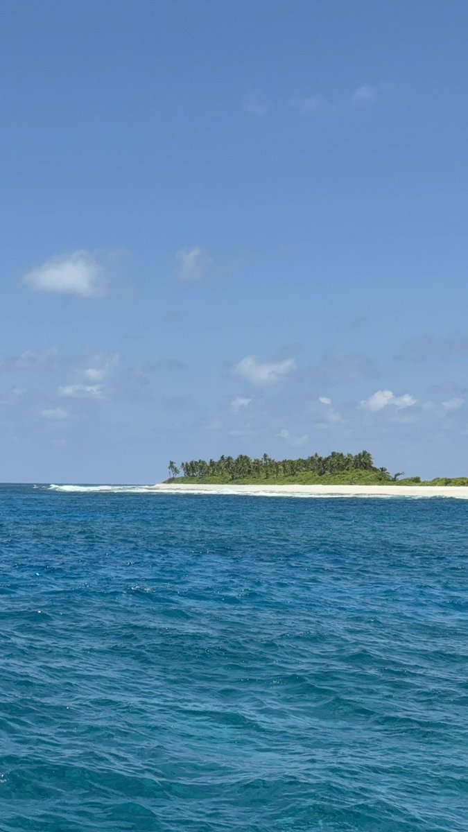 I love life on the equator 🏝️