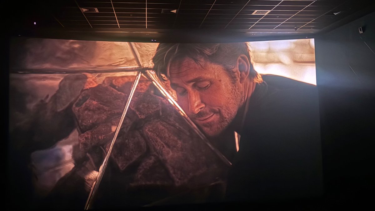 chicken biryani tweet media