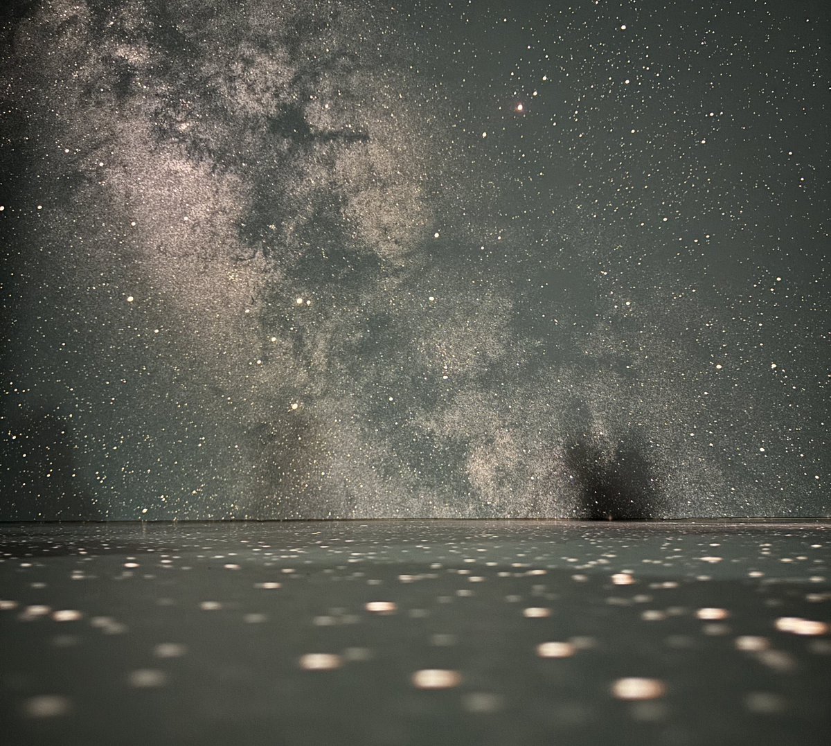 りーーーーーん tweet media