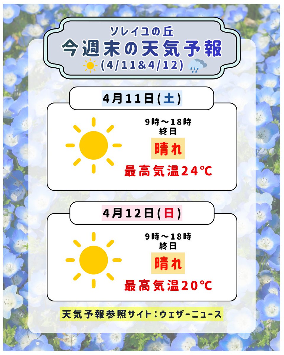 ソレイユの丘_公式 tweet media