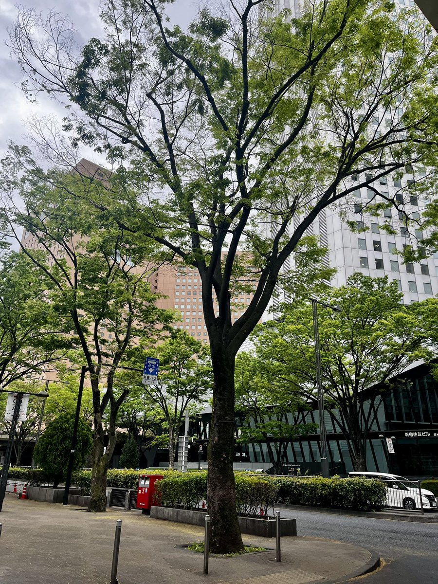 japantotheworld.com tweet media