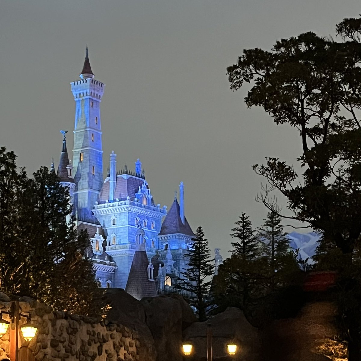 𝓡𝓐 🐽 tweet media