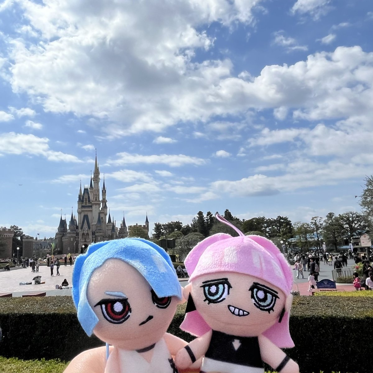 𝓡𝓐 🐽 tweet media