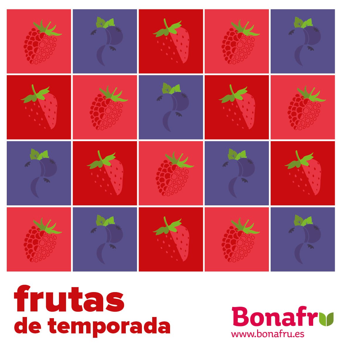 bonafru's tweet photo. ¡FRUTA DE TEMPORADA! 👏

▪ Fresas
▪ Frambuesas
▪ Arándanos

#BonafrúBonares #Bonares #FrutosRojos #Fresas #Frambuesas #Arándanos #LoMejorDelCampo https://t.co/r1iSKvjgBX