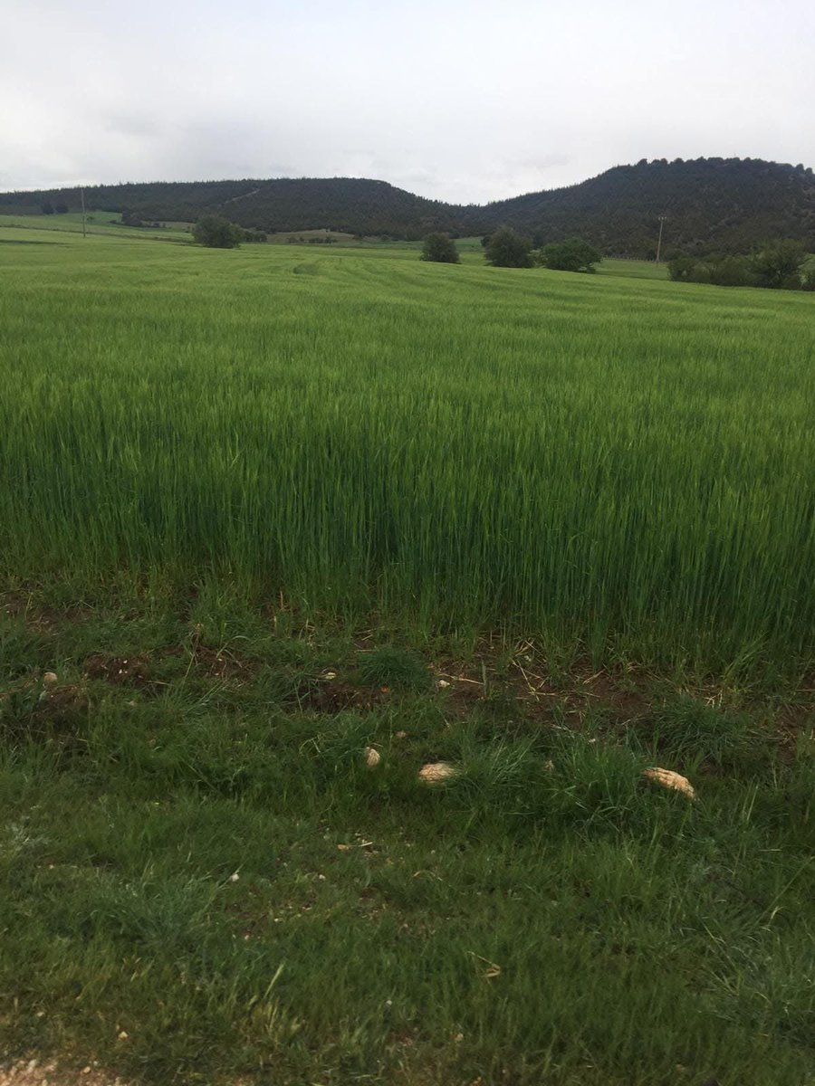 丂乇爪丨卄卂 tweet media