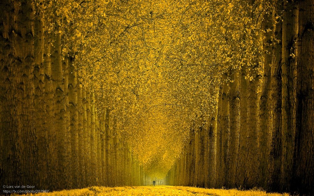 1x_com's tweet image. [204] Photo Composition - Arranging Visual Elements by Editor Miro Susta. #composition #rules #photography #study #gallery #1xmagazine