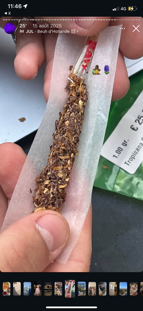 ₊˚⊹ᡣ𐭩 Daphne ₊˚⊹ᡣ𐭩 tweet media