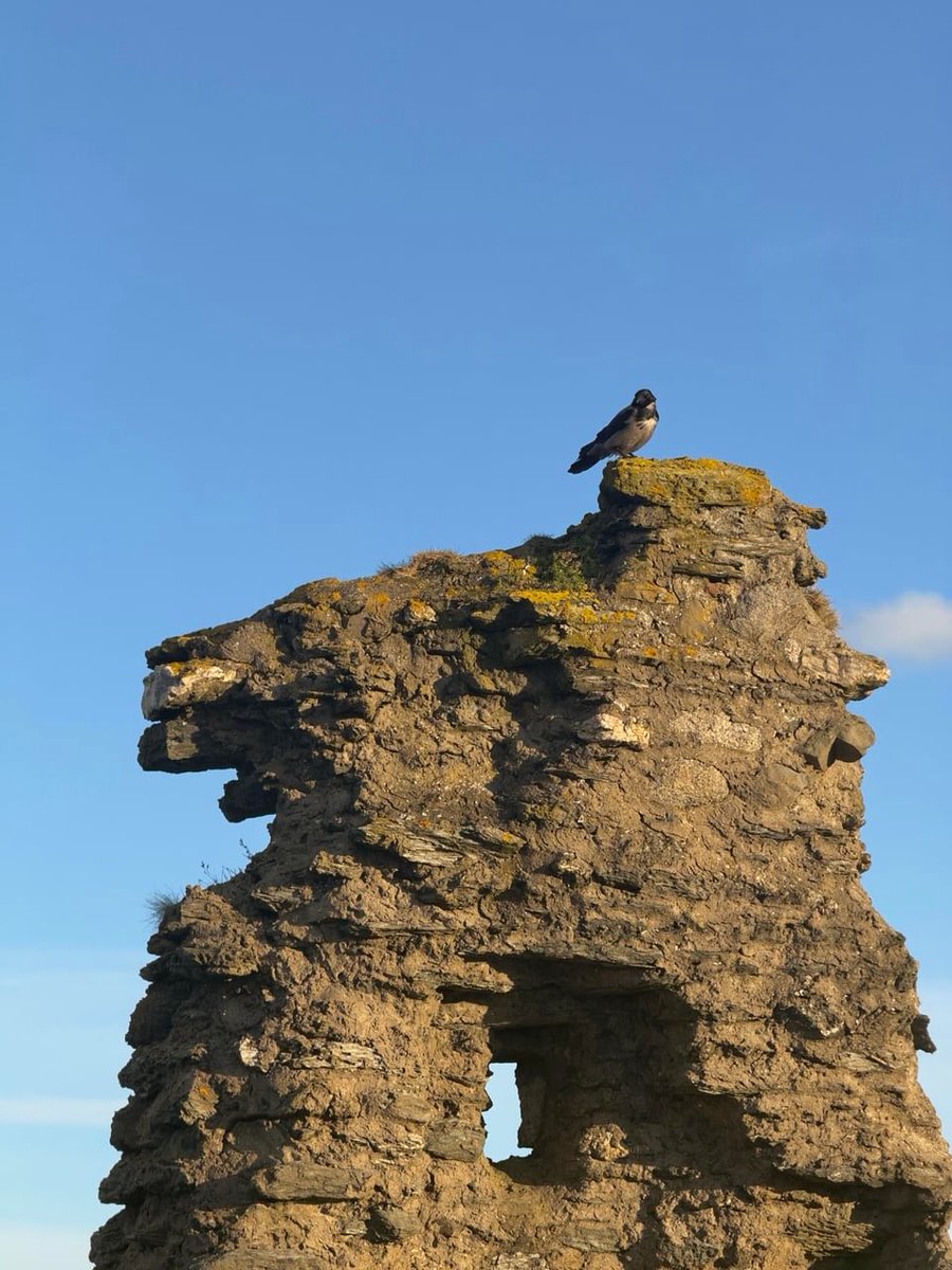 Phonenurd's tweet image. You can give an Android phone a 1-inch sensor or "space zoom," but it still can't match the shutter response and reliability of an iPhone. Photography is about the moment—not the AI trying to guess what the moon looks like. 

#ShotOniPhone #MobilePhotography  #StreetPhotography