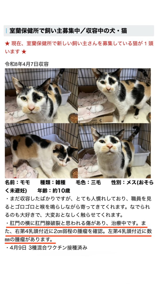 ににこです tweet media