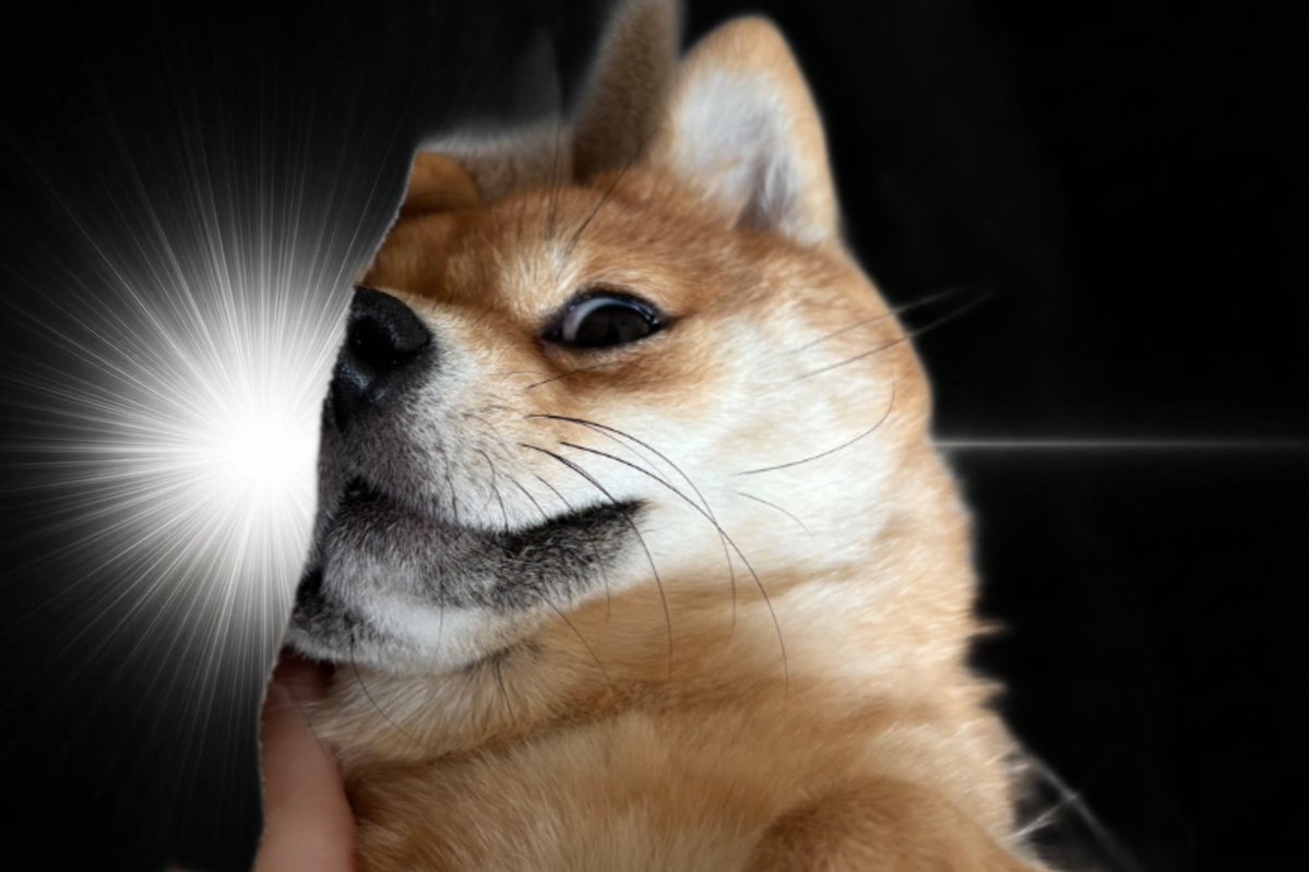 ばく🦔 tweet media