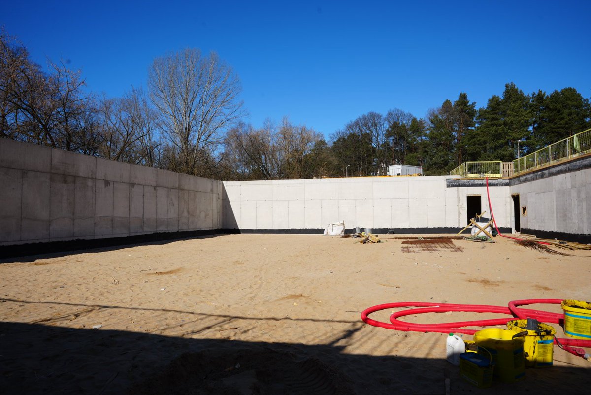 Edvards Ratnieks tweet media