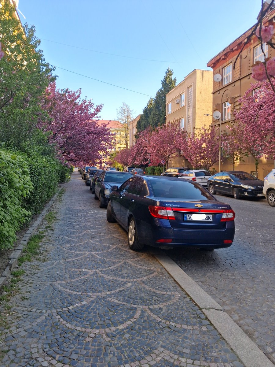 Kristina tweet media