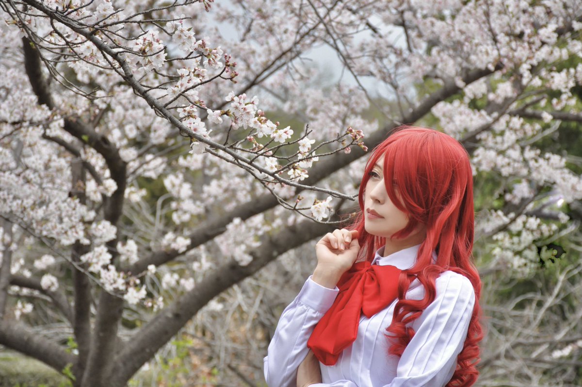 バニ🧚‍♀️🧚✨ tweet media