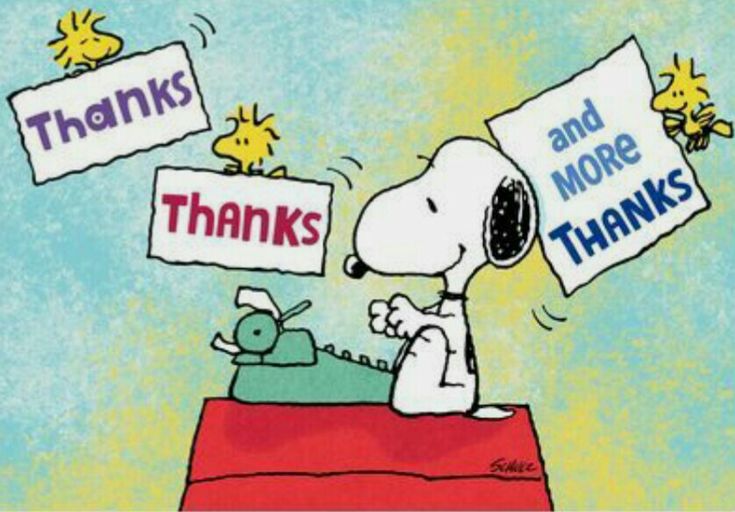 すぬちゃん tweet media