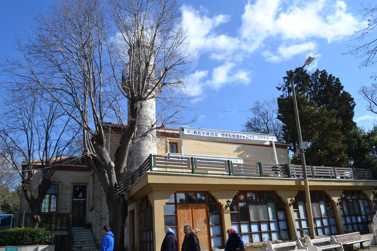 Rıza ZELYUT tweet media