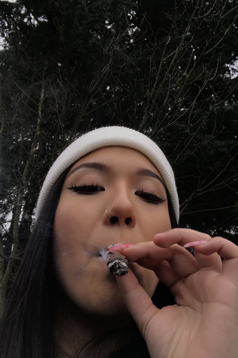 ashley tweet media
