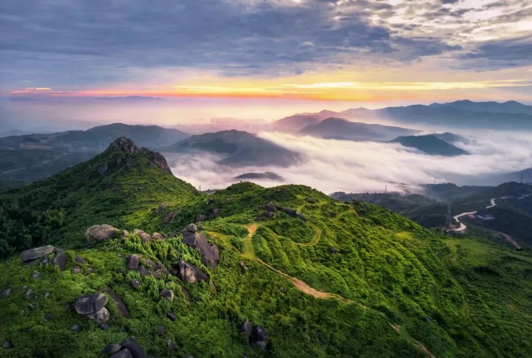 Explore Pingyang tweet media