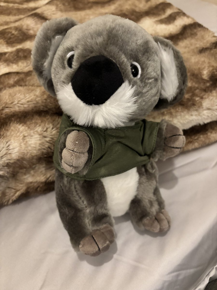 流石 兄者 tweet media