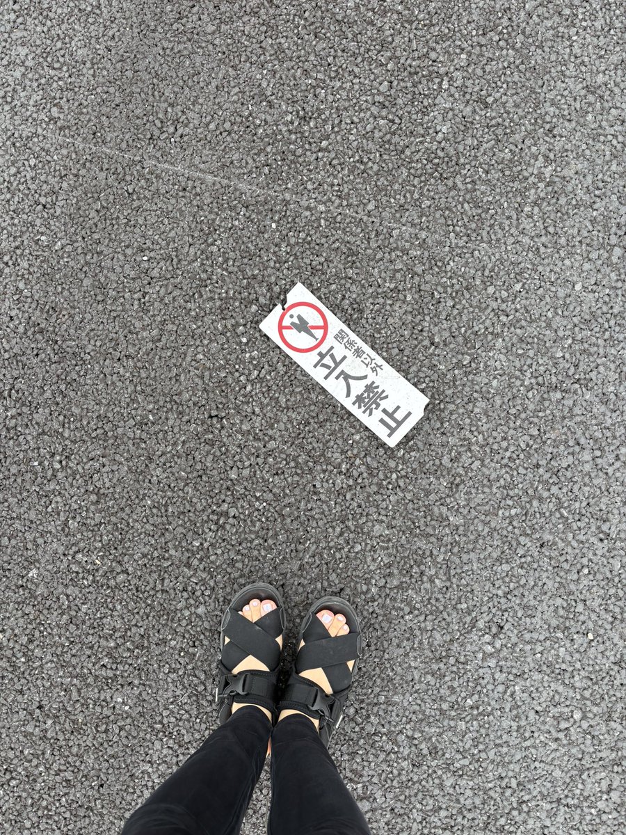 猫之介 tweet media