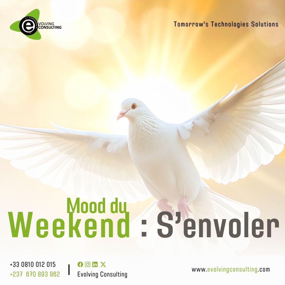 Evolving Consulting tweet media