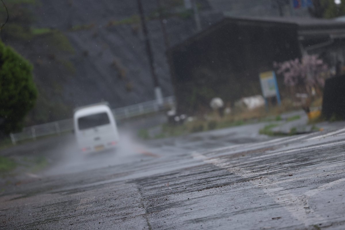 藤子@写真展ありがとう tweet media