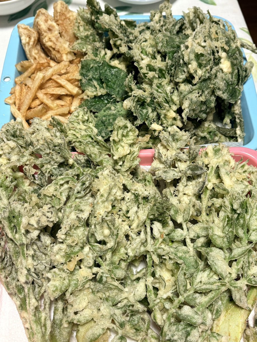 あみかわまちこ tweet media