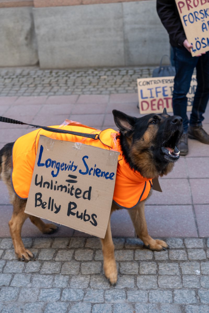 FundLongevity's tweet photo. People in 15+ cities across 3 continents took to the streets for one demand: fund aging research.

Watch the livestream recording →

This is what a global movement looks like 🌍

https://t.co/4e1ImN7I8c

#FundLongevity https://t.co/OnAmuK3KJt