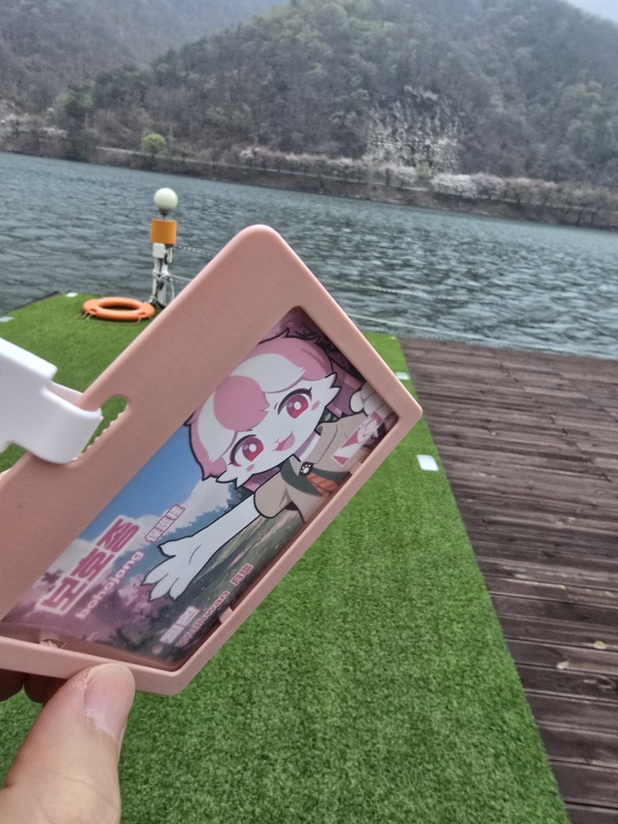 보호종/保護種 tweet media