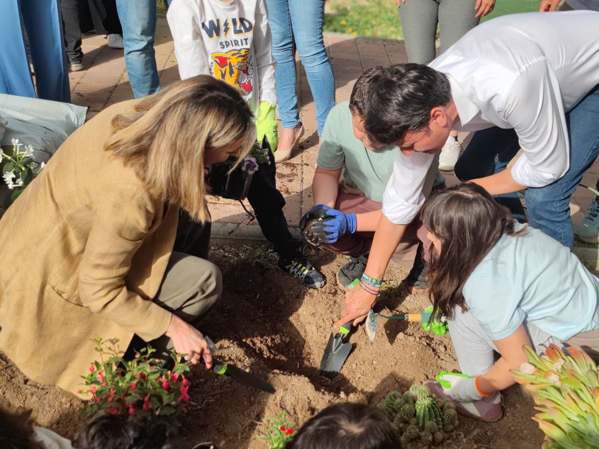 José Ángel Alfonso tweet media