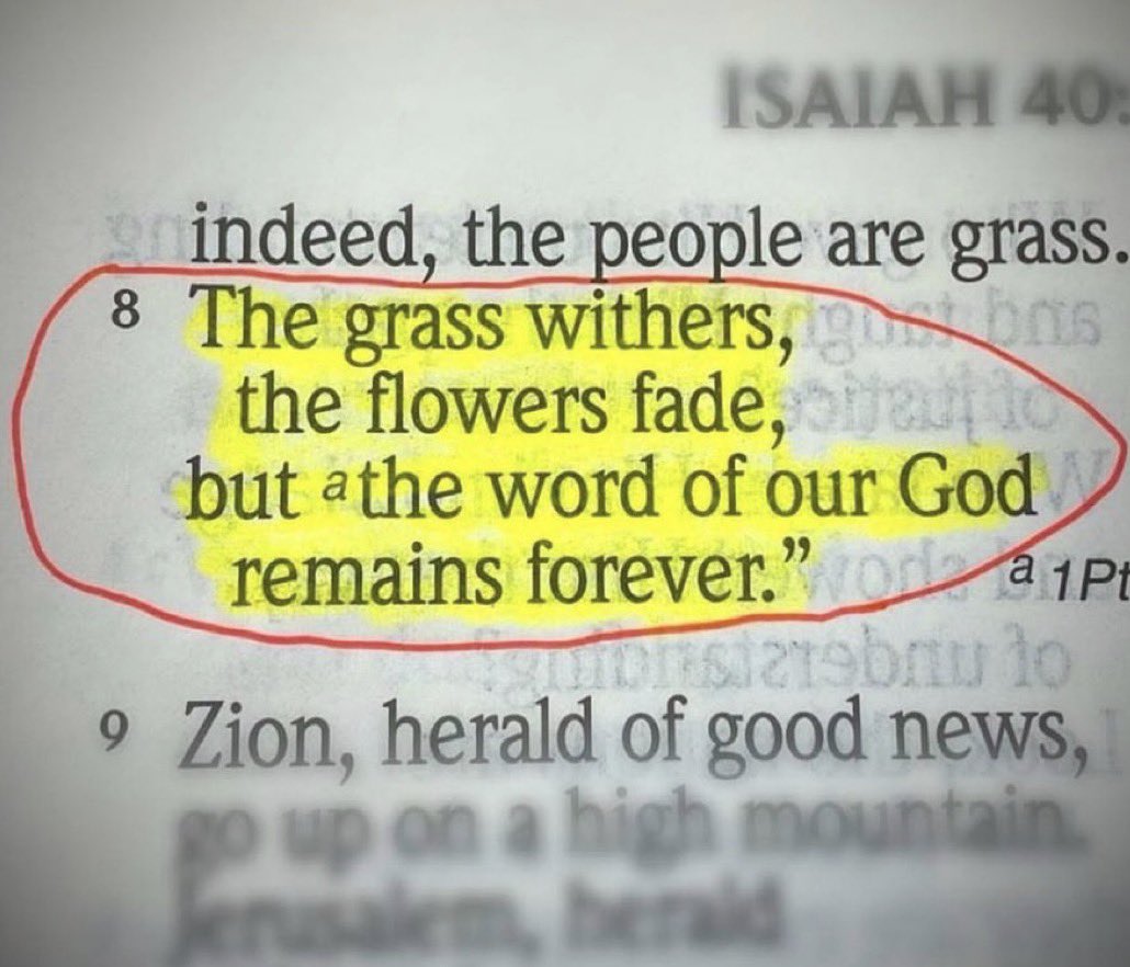 Drew Maddux tweet media