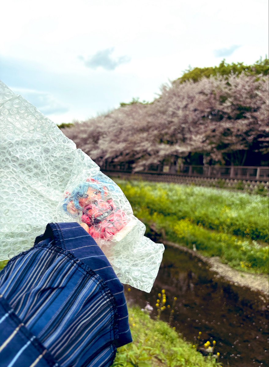 うららぬ ︎︎ tweet media