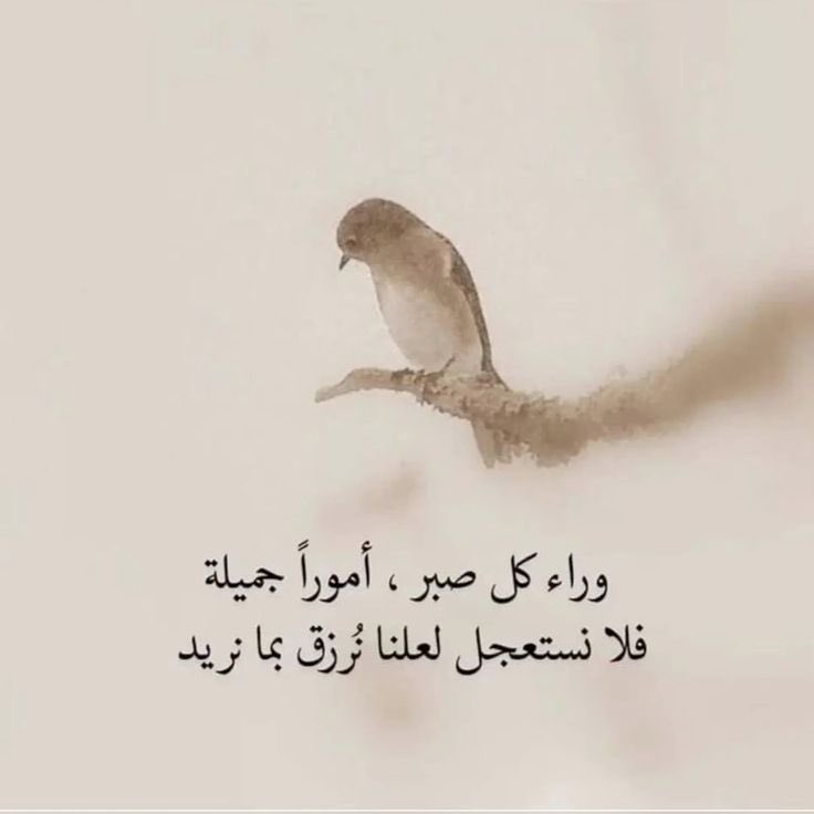 ReemasAlbdryeh's tweet image. النجاح لا يُهدى، بل يُنتزع بالصبر والعزيمة 🌿💡
#نجاح #عزيمة #خواطر_وأقلام_تعبر #اقتباسات_ايجابية #مساء_الخير_والسعادة #مساء_الــود_والـــورد 
#مساء_الخـير