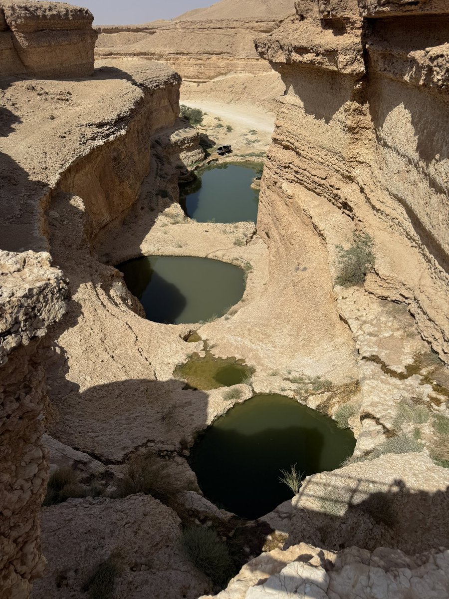 ابو نواف tweet media