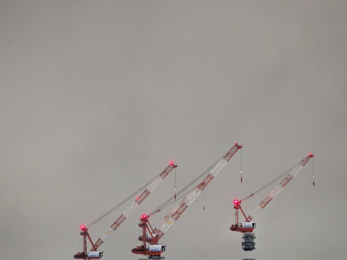 瑞雲ziun ELD55 tweet media