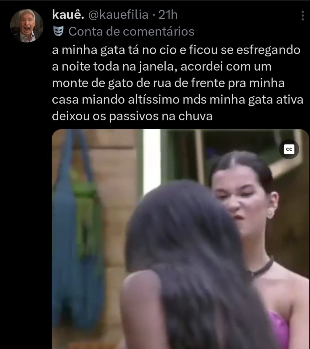 sapateco tweet media